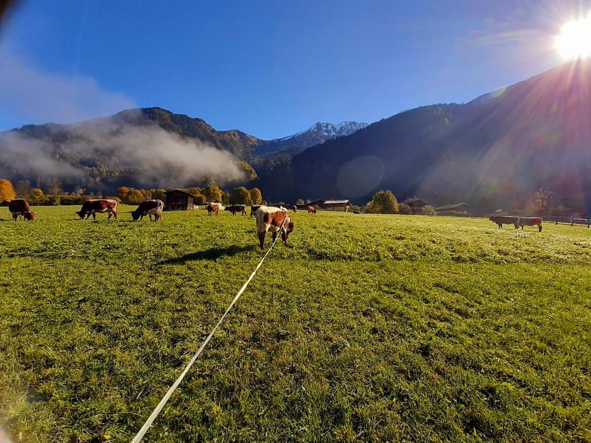 Hoislbauerngut Lägenhet Bad Hofgastein Exteriör bild
