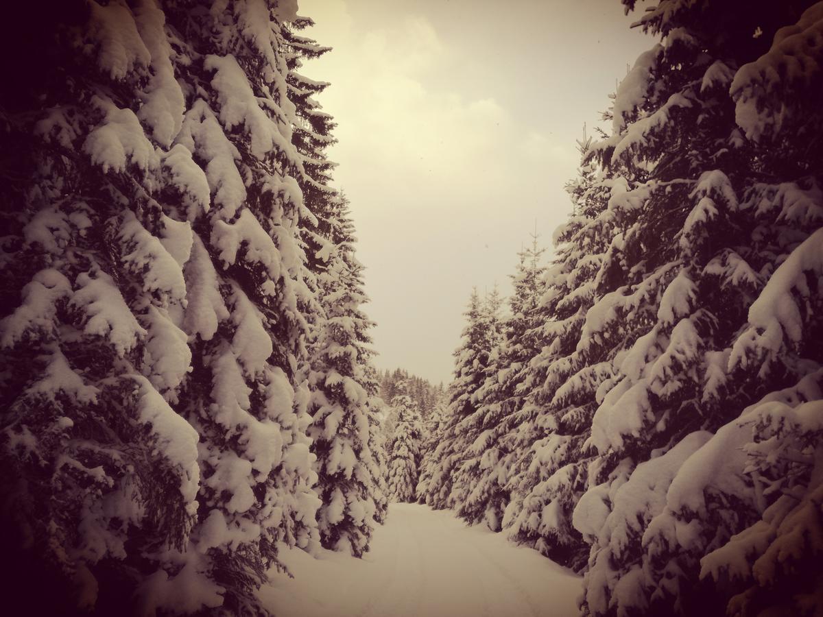 Hoislbauerngut Lägenhet Bad Hofgastein Rum bild